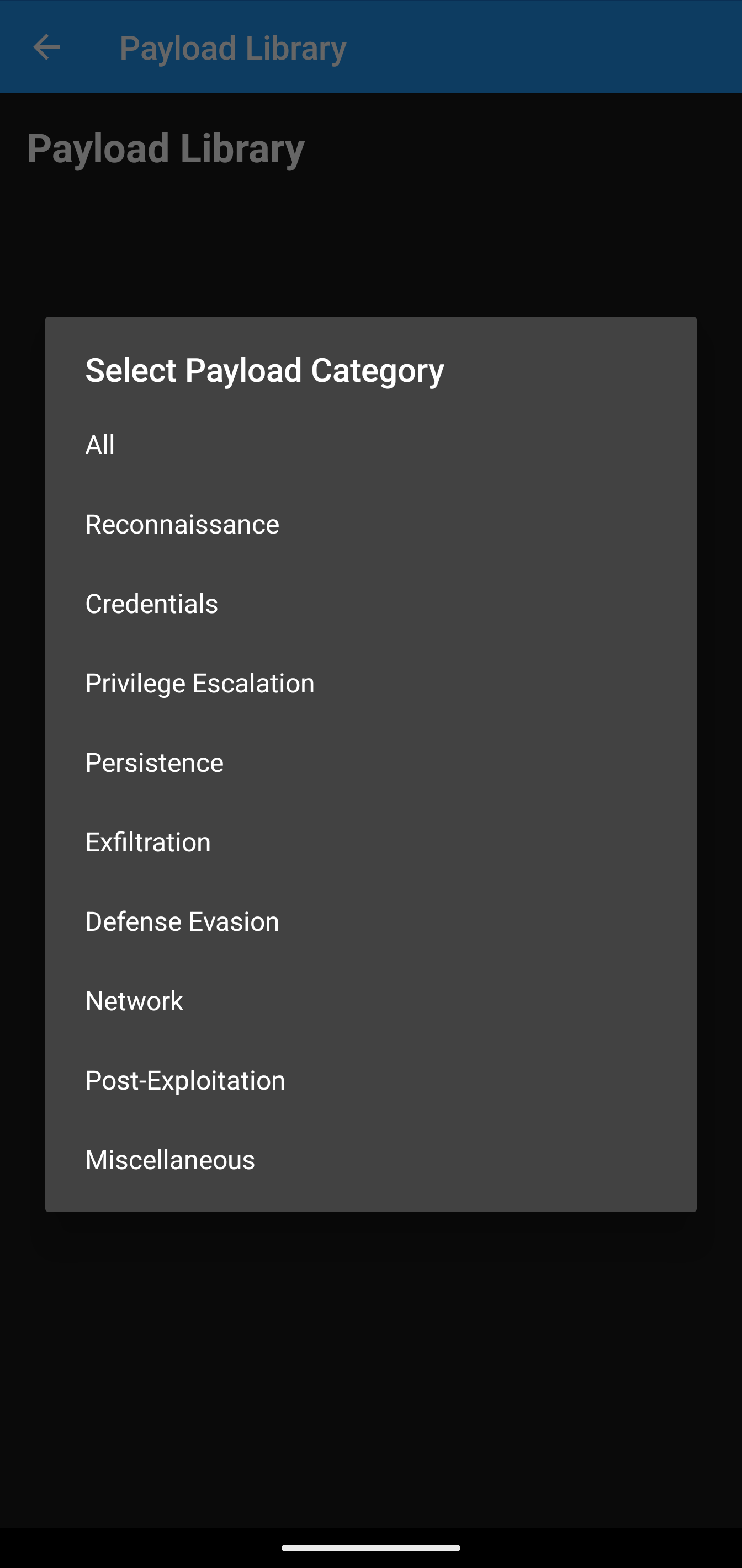 Bash Bunny Controller - Payload Details